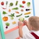 thumbnail image 5 of Imanes para Refrigerador Magdum Vegetales para Niños 25 Imanes 3+ Años, 5 of 9