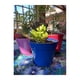 thumbnail image 2 of Set de 6 Maceteros Biodegradables Redondo / 3 Azules y 3 Rojos, 2 of 3