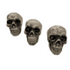 thumbnail image 3 of Pack 3 Calaveras Decoración Fiestas Halloween 2025, 3 of 5