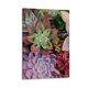 thumbnail image 1 of Plantas Suculentas Cuadro decorativo colgante - Arte de pared - Póster enmarcado - Decoración de pared - Regalos para familia, amigos y aficionados 20*30 cm, 1 of 6