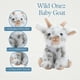 thumbnail image 5 of Peluche The Petting Zoo Goat Wild Onez Babiez, 5 of 8
