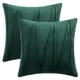 thumbnail image 1 of REGALWOVEN Fundas de Cojín de Terciopelo Juego de 2 para Decoración de Sala de Estar Sofá Verde Oscuro 20" x 20", 1 of 7