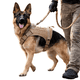 thumbnail image 1 of Táctico estable arnés para perros grandes y medianos, 1 of 3
