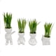 thumbnail image 3 of Macetero Planta, 3 of 3