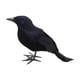 thumbnail image 5 of Cuervos De Halloween Cuervos Con Plumas Negras Realistas Para Disfraces Elegantes Patio Césped Estilo A, 5 of 5