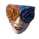 thumbnail image 1 of Macetero Con Cabeza De Arco Iris Macetero Con Cara Divertida Macetas Con Flores Eclécticas Maceta, 1 of 5