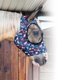 thumbnail image 1 of Máscara Fly Mask Professional's Choice, material suave y cómodo, 1 of 1