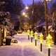 thumbnail image 2 of X10 Luces Navideñas Luces Navideñas Solares Arboles Navidad Amarillo, 2 of 10