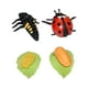 thumbnail image 5 of Figuras Del Ciclo De Crecimiento Animal, Accesorios De Enseñanza Para Niños Y Niñas, Mariquita De Aprendizaje Preescolar, 5x5cm, 5 of 5