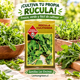 thumbnail image 3 of Semillas de Rúcula Cultivada Sobre Semillas Las Encinas, 3 of 4