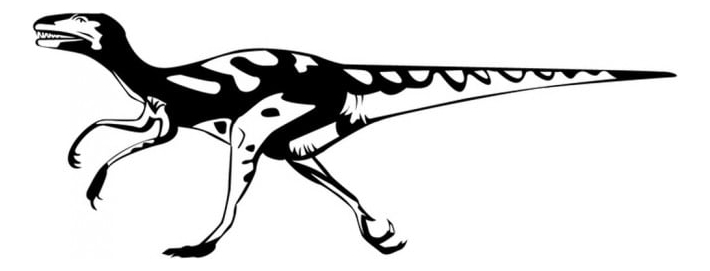 Rienda Libre Graphics - Decomural Velociraptor Dinosaur Ws-17576