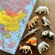 thumbnail image 3 of Minifigurines TOOB de animales asiáticos de Safari Ltd., juego de 8, 3 of 7