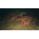 thumbnail image 5 of Videojuego Saint Kotar para Xbox Series X, 5 of 8