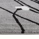 thumbnail image 2 of Alfombra Frise Carved Florida D2 150x200 Cm Gris-Roja, 2 of 2