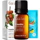 thumbnail image 1 of Aceite Esencial Gya Labs Copaiba 10 ml para Aromaterapia, 1 of 6