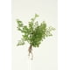 thumbnail image 1 of Sedas D&W de imitación de flores y plantas naturales para el hogar o la oficina, 1 of 2
