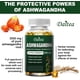 thumbnail image 3 of Ashwagandha 2000 mg Suplemento Alimenticio, 3 of 3