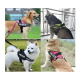 thumbnail image 2 of Arnés pechera K9 acolchado reforzado perros grandes talla l, 2 of 3