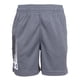 thumbnail image 1 of Pantalones cortos Under Armour Tech Wordmark X-Small Castlerock para niños, 1 of 9