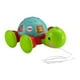 thumbnail image 5 of Tortuga de Aprendizaje, 5 of 10