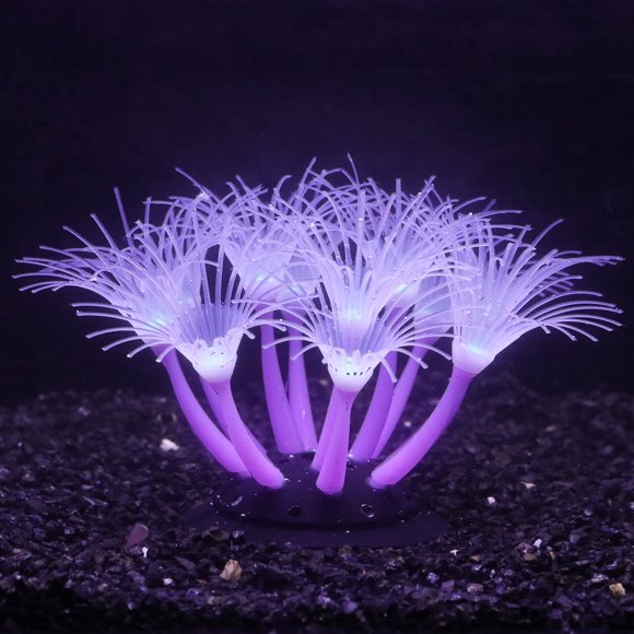 Bluecoco Flor de Acuario de Silicona que Brilla en la Oscuridad (Púrpura, Girasol)
