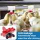 thumbnail image 4 of Paquete de 20 bebederos horizontales para pollos, automáticos, de montaje lateral, para pollos, codornices y patos., 4 of 7