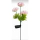 thumbnail image 3 of Luces de Jardín Impermeable con forma de Flor, 3 of 4
