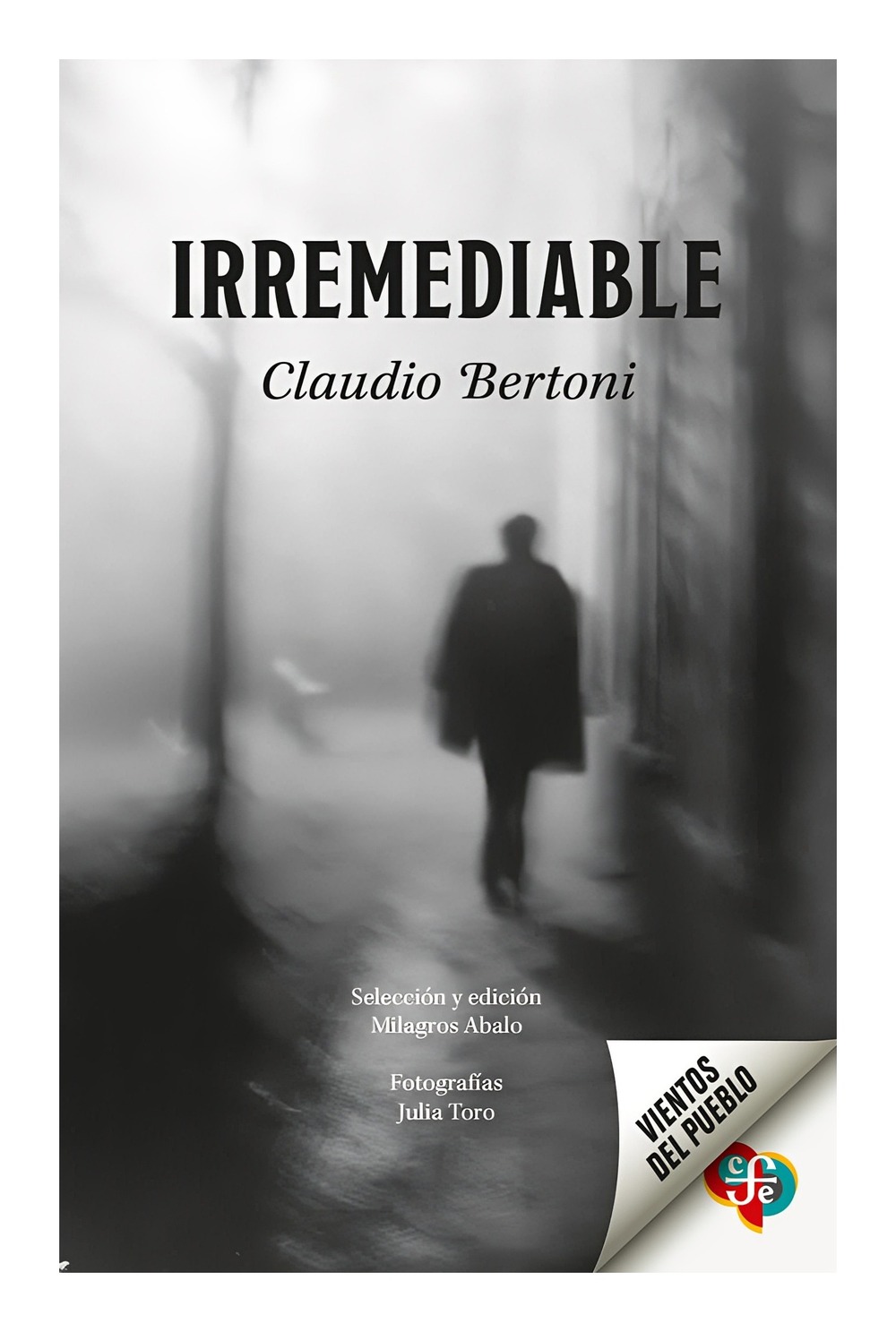 Top10Books - Libro Irremediable Claudio Bertoni Julia Toro (Fotografí