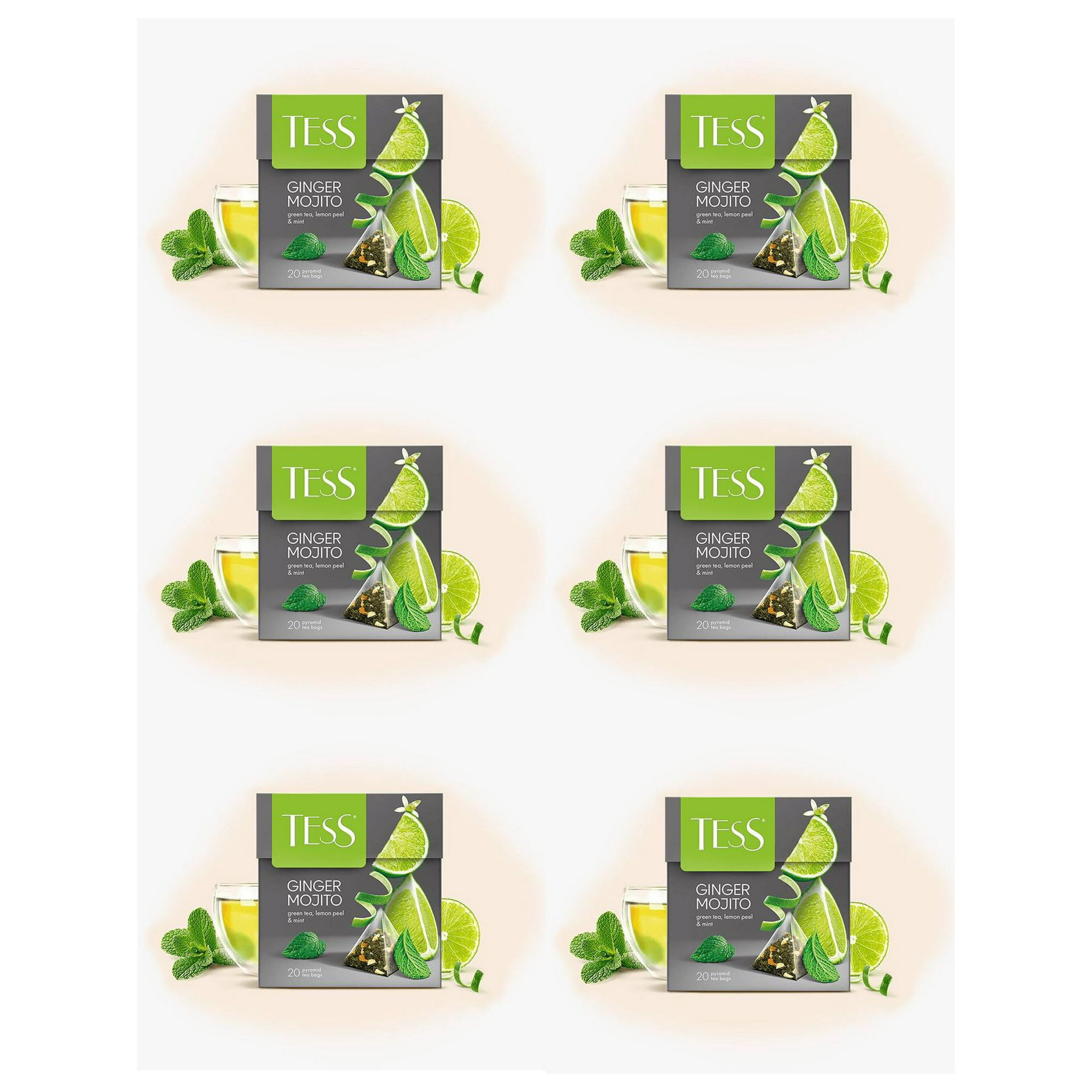 Pack 6 Té Tess Ginger Mojito