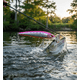 thumbnail image 3 of Señuelo Storm Thunder Barra ( La Enojona O Cara De Malo ) Color Pink Crystal Baitfish, 3 of 5