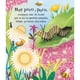 thumbnail image 5 of Ciclos de la vida - Una mariposa, 5 of 7
