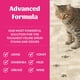 thumbnail image 3 of Eliminador de manchas y olores Skout Honor Cat Advanced Severe Mess, 3 of 9