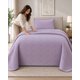 thumbnail image 2 of Cubrecama Quilt de Plaza y Media Con Funda De Almohada19, 2 of 6