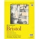 thumbnail image 1 of Bloc de papel Strathmore Serie 300 Bristol, 27 x 35 cm, 20 hojas, 1 of 5