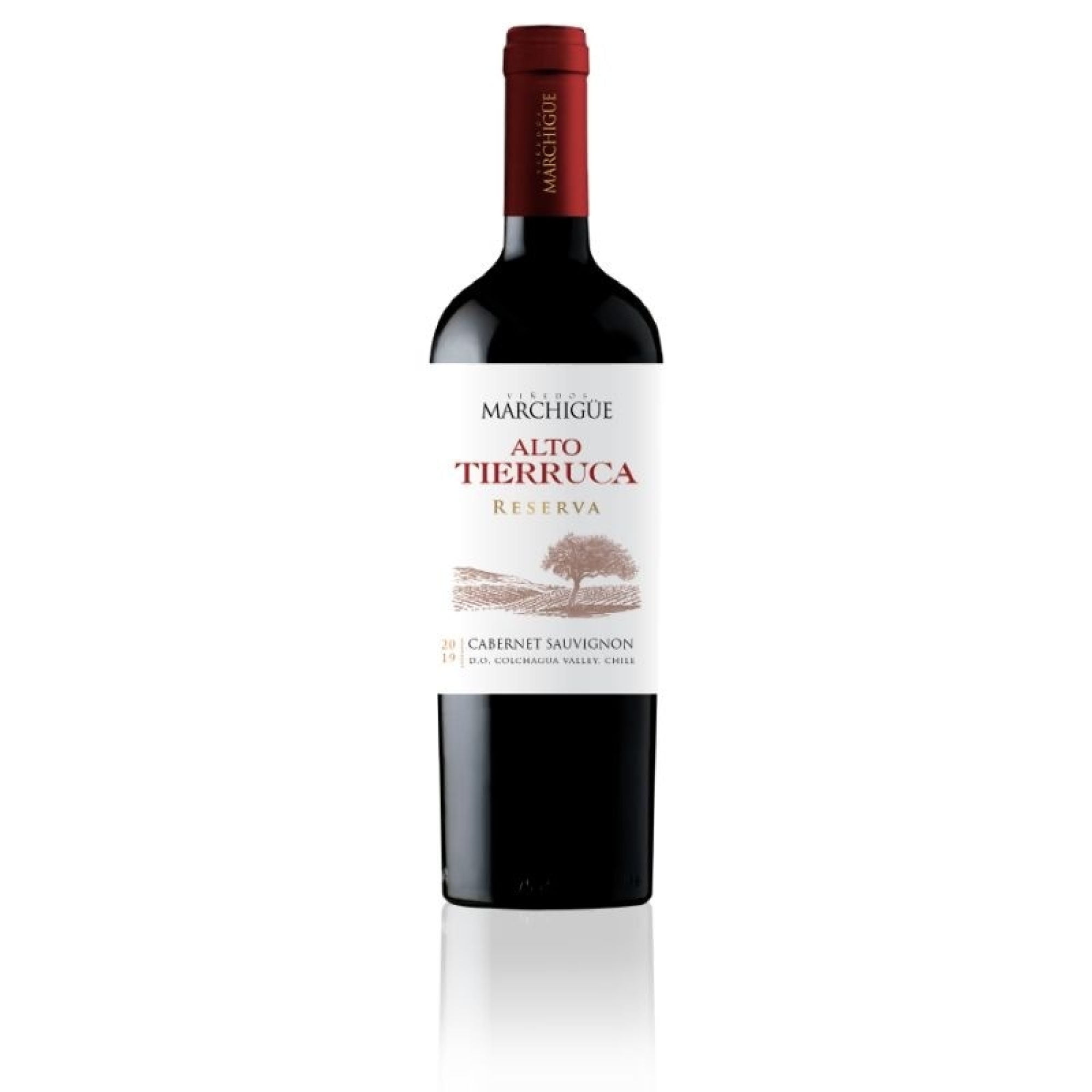 Vino Tinto Cabernet Sauvignon Reserva 13.5° Botella 750 cc Alto Tierruca
