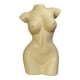 thumbnail image 3 of Florero De Cuerpo Femenino Maceta De Resina Estatuas De Mujer Adorno De Escritorio Decoración Amarillo 19x15x30.5cm, 3 of 5