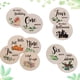 thumbnail image 1 of Letrero con los hitos mensuales del bebé, accesorio perfecto para fotografía de recién nacidos, 10 discos circulares de madera con marcadores de doble cara, letrero para anunciar al bebé como accesori, 1 of 7