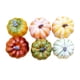 thumbnail image 4 of Calabazas De Cosecha Artificial Modelo Vegetal De Halloween Colores Surtidos Duraderos Estilo A, 4 of 5