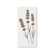 thumbnail image 1 of Plantilla de estarcido artística de lavanda reutilizable de mylar, 1 of 4
