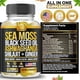thumbnail image 3 of Gomitas Sea Moss Ashwagandha Shilajit Jengibre, 3 of 3