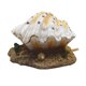 thumbnail image 2 of Decoración De Perlas De Concha De Acuario, Burbujeador De Piedra De Aire, Suministros De Decoración Para Paisajismo, 2 of 3