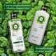 thumbnail image 5 of Shampoo Herbal Essences Aroma Té Verde & Menta, 600 ML, 5 of 6