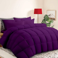 Genérico - Plumón Invierno Chiporro King Super King Gt11