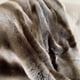 thumbnail image 3 of Pelaje sintético de chinchilla gris plateado de Throw Plutus Brands, 3 of 3