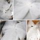 thumbnail image 3 of Lazo de Cacampanao blanco, velo de soltera, clip de Cacampanao de novia con perla, decoraciones de soltera, regalos de dama de honor, regalo de despedida de soltera para futura novia, 3 of 7