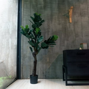 Vadell Home - Ficus Lyrata De 150 Cm, Protección Uv