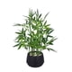 thumbnail image 1 of Planta de bambú artificial 365 Blooming Decor, 45 cm, con maceta negra, 1 of 7