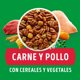 thumbnail image 2 of Alimento Seco Perro Adulto Raza Mediana/Grande Carne y Pollo Bolsa, 2 of 6