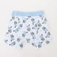 thumbnail image 5 of Tripack Bóxer Niño Celeste Full Print Bluey, 5 of 8