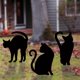thumbnail image 2 of Siluetas de gatos negros para Halloween Yard Decoración Fun World, paquete de 3, 2 of 5